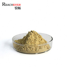 Manufacture Wholesale Organic Ginseng Root Extract Powder High Quality